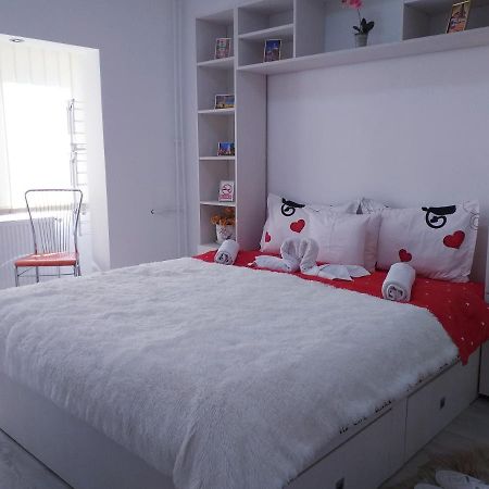 Epic Apartment تيميشورا المظهر الخارجي الصورة