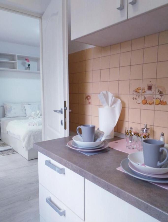 Epic Apartment تيميشورا المظهر الخارجي الصورة